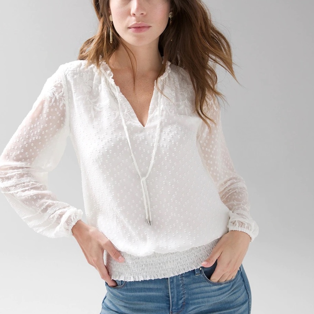 WHBM Embroidered Chiffon Blouse